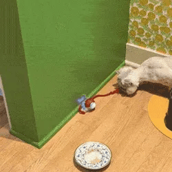 Balle interactive pour animaux de compagnie