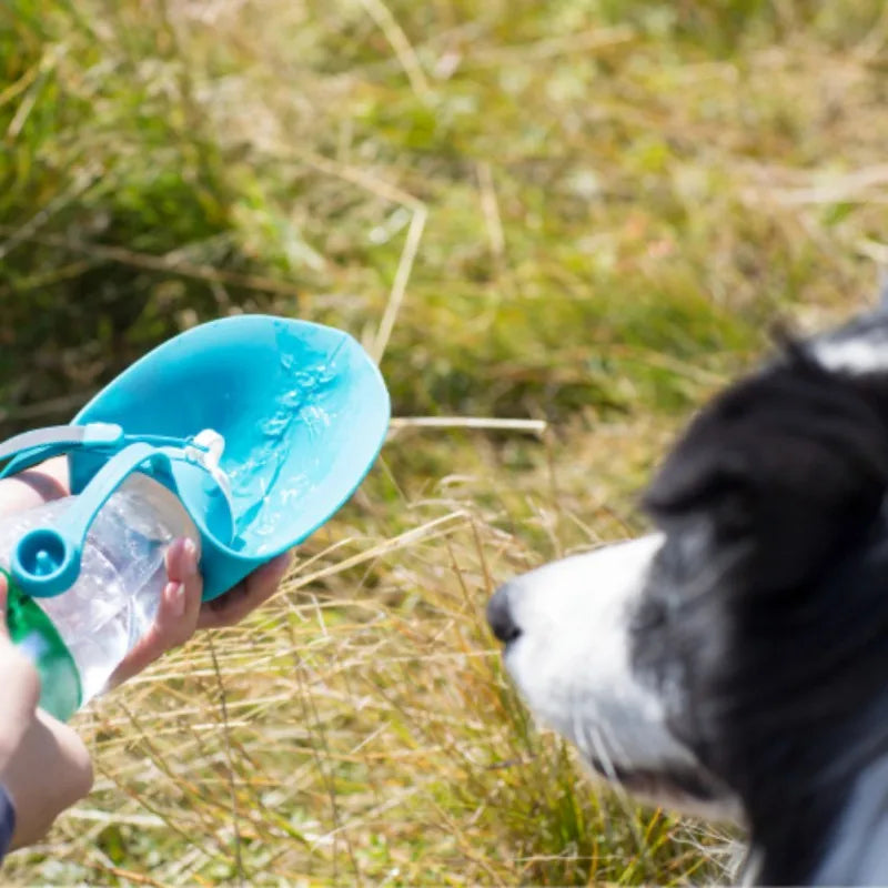 Gourde pour Chien Anti-Fuite 580ml - Bol Intégré & Sans BPA