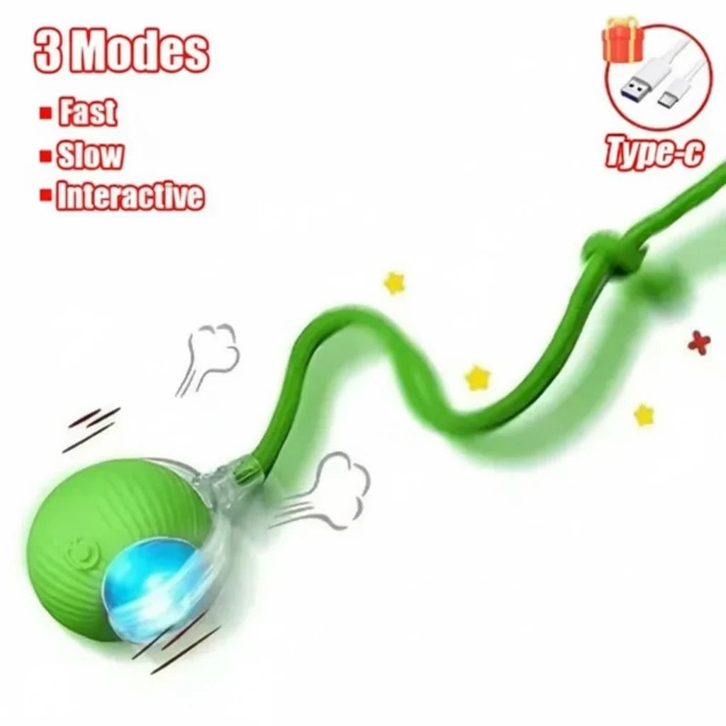 Balle interactive pour animaux de compagnie