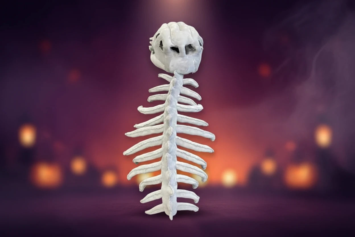 Costume squelette de dinosaure