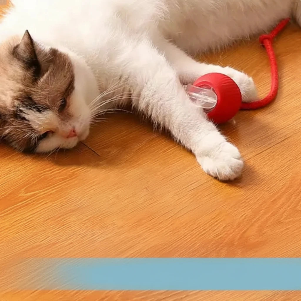 Balle interactive pour animaux de compagnie