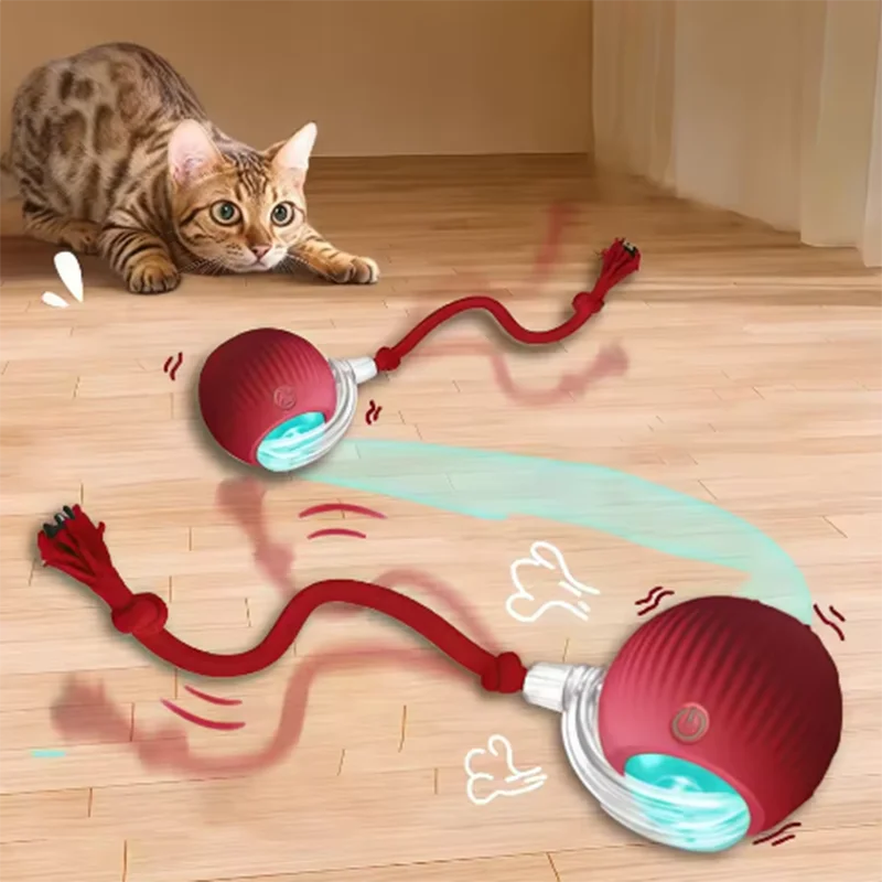 Balle interactive pour animaux de compagnie