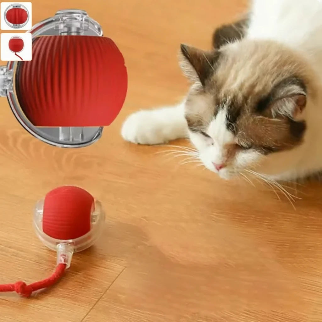 Balle interactive pour animaux de compagnie