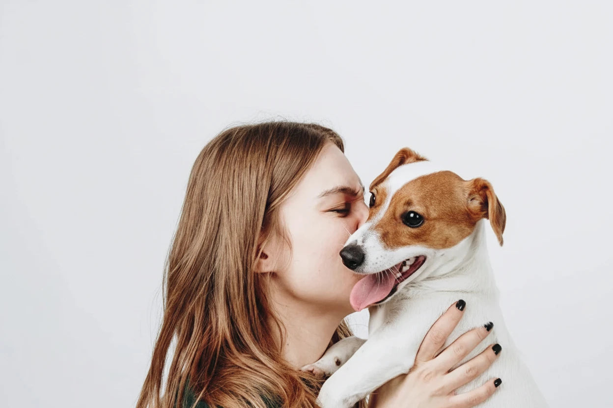 Poudre dentaire pour chien haleine fraîche et anti tartre