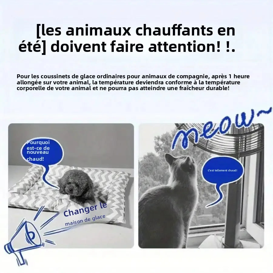 Cabane rafraîchissante pour chat et chien